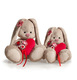 Зайка Ми с сердечком (SidS-011) Зайка Ми с сердечком (SidS-011)